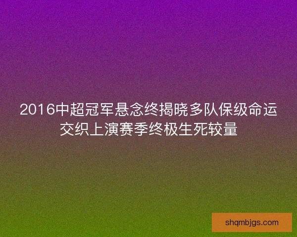 2016中超冠军悬念终揭晓多队保级命运交织上演赛季终极生死较量 2016中超冠军悬念终揭晓多队保级命运交织上演赛季终极生死较量