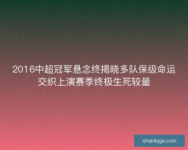 2016中超冠军悬念终揭晓多队保级命运交织上演赛季终极生死较量