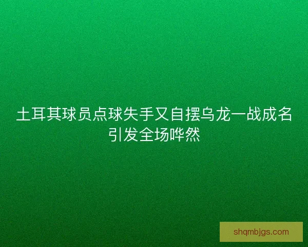 土耳其球员点球失手又自摆乌龙一战成名引发全场哗然 土耳其球员点球失手又自摆乌龙一战成名引发全场哗然